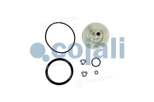 Cojali 6014241