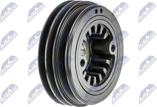 NTY RKP-MS-029