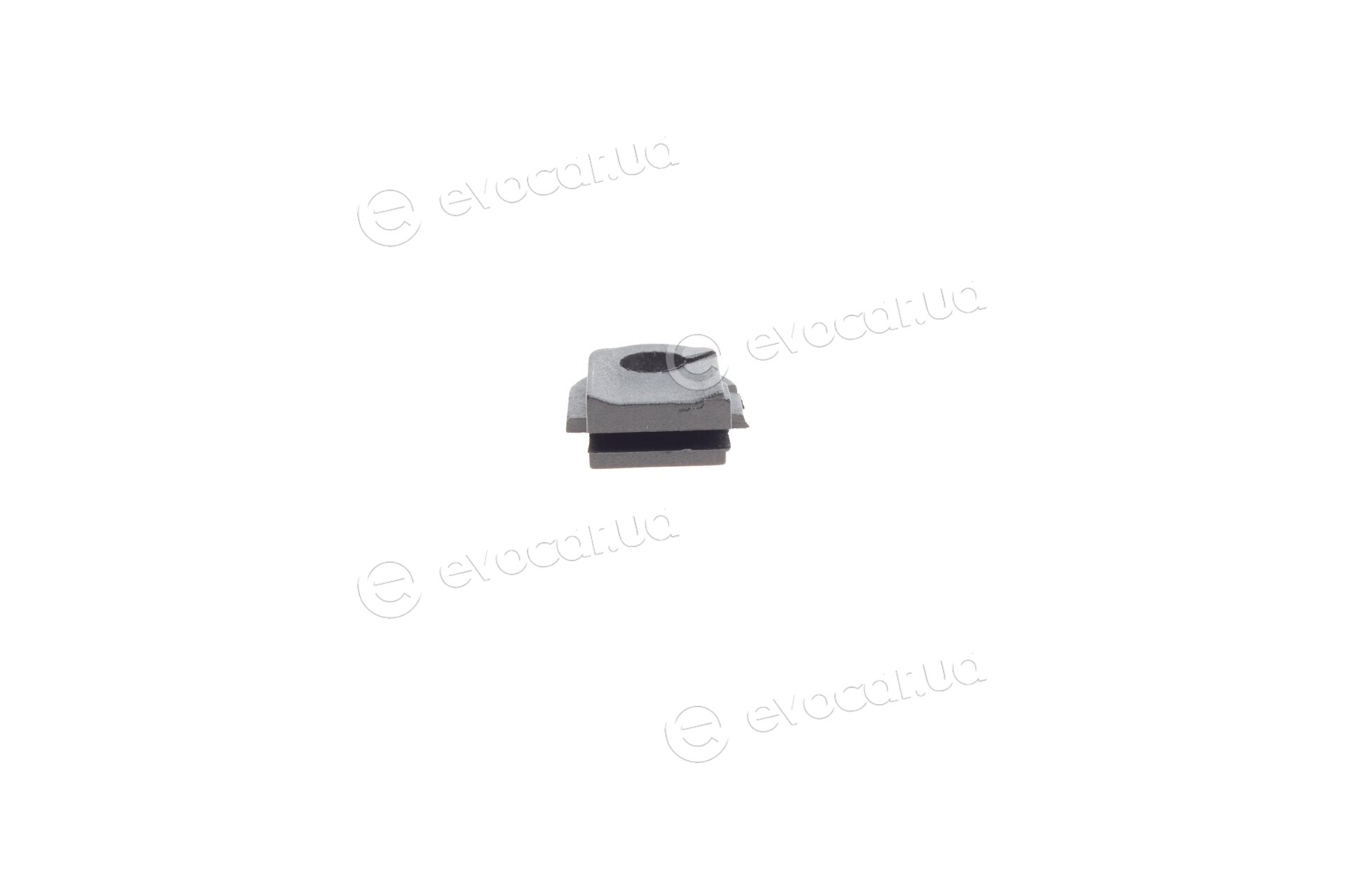 Solgy 113010