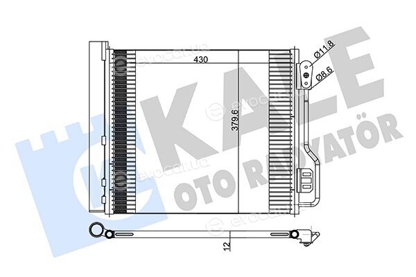 Kale 342545