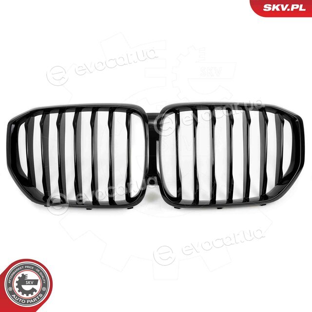 SKV 66SKV300