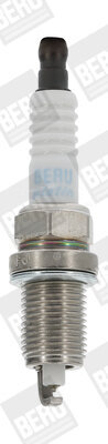 Beru Z301