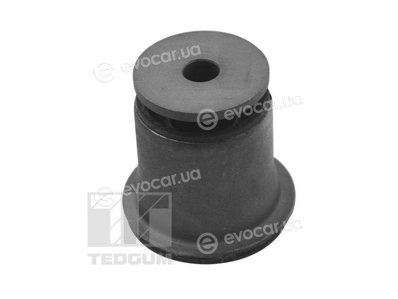 Tedgum 01140848