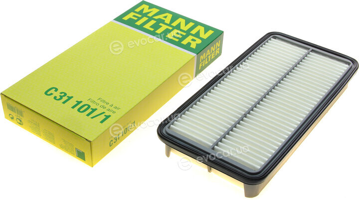 Mann C 31 101/1
