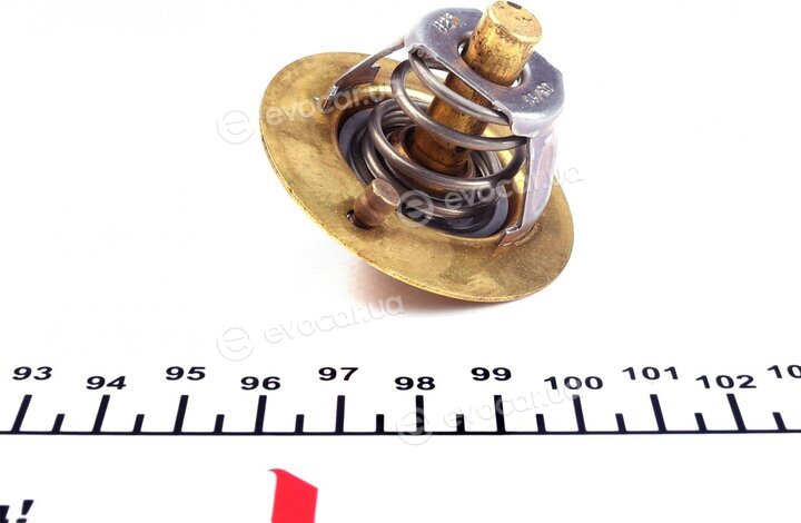 Wahler / BorgWarner 3119.82D3