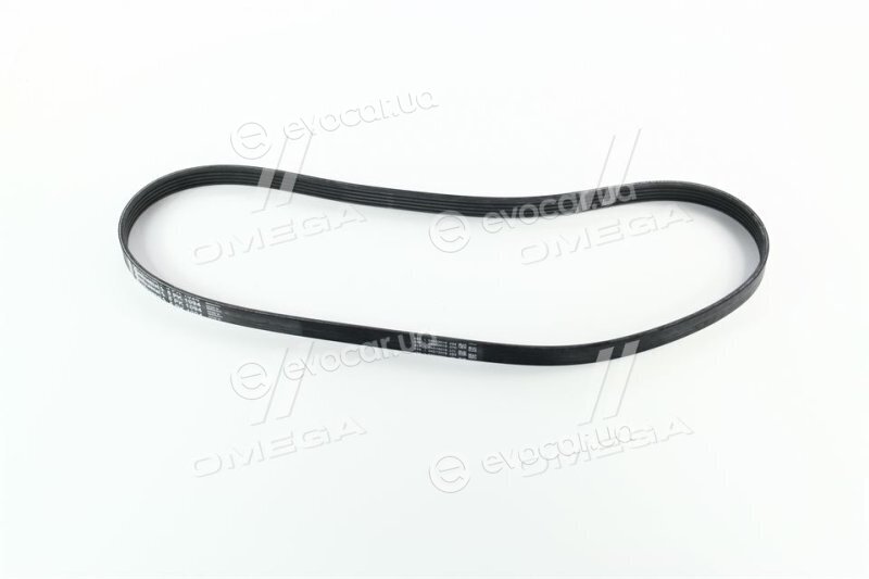 Continental 5PK1094