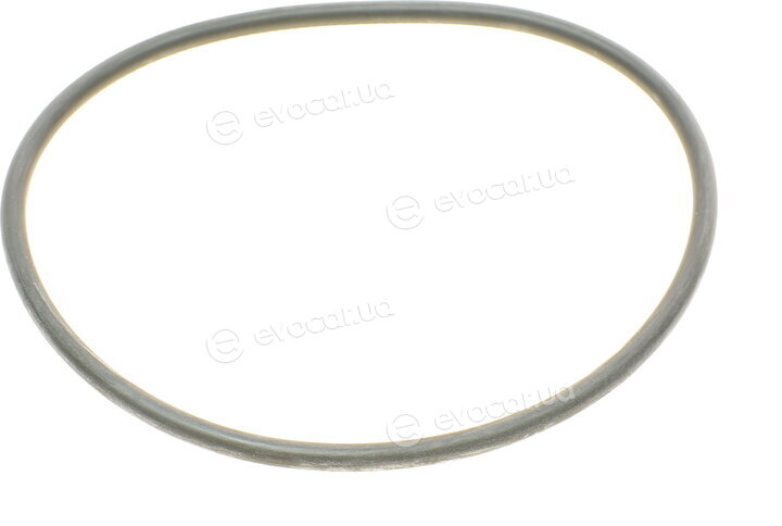 Bosch F 026 407 008