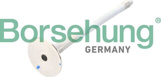 Borsehung B13245