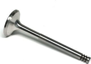 Gunes 6011