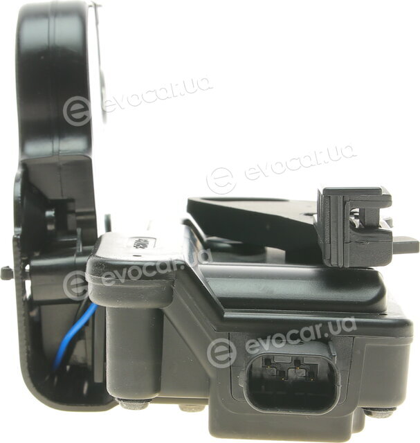Solgy 305067