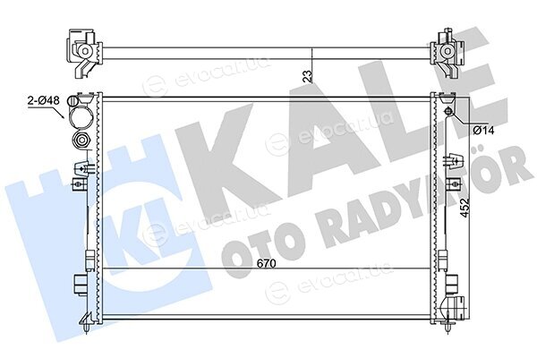 Kale 347220