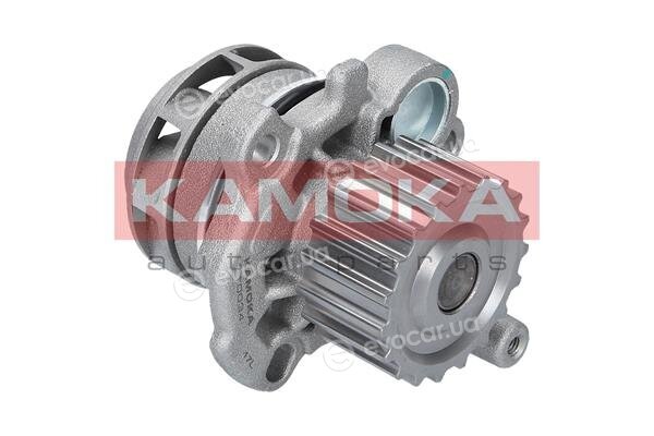 Kamoka T0034