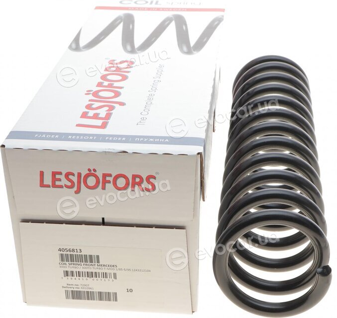 Lesjofors 4056813