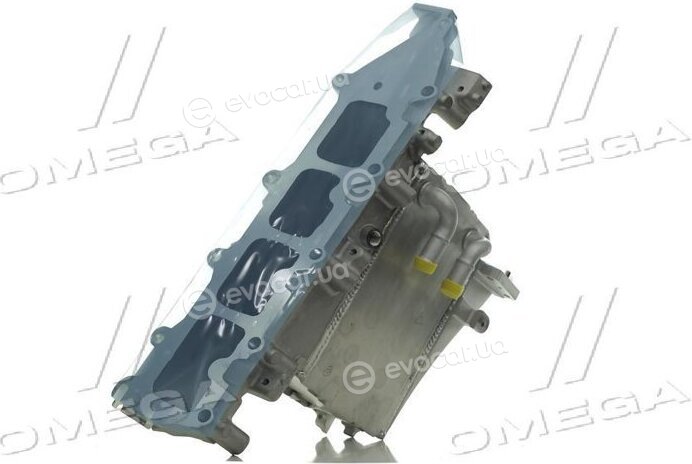 Van Wezel 58004361