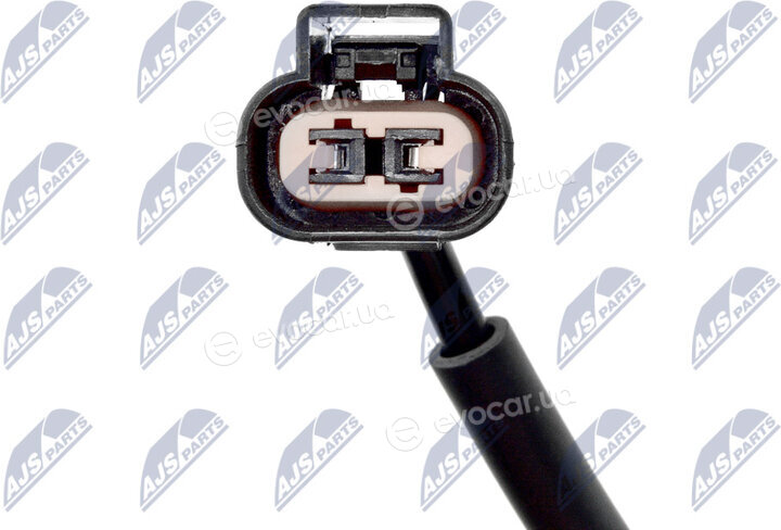 NTY HCA-MS-018