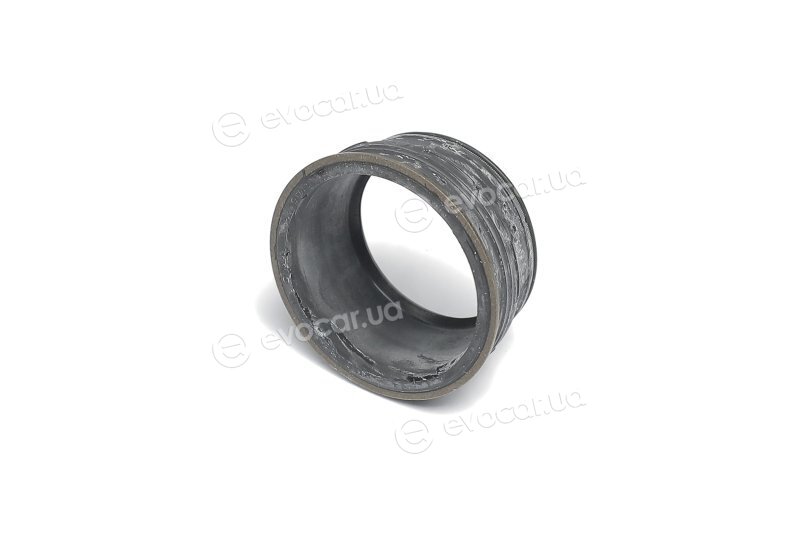 Elring 598.080