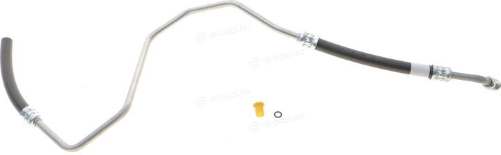 AIC 54955