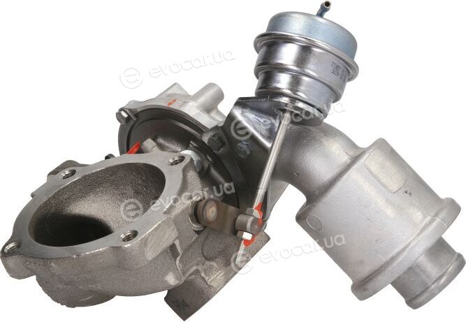 BorgWarner 53039880052