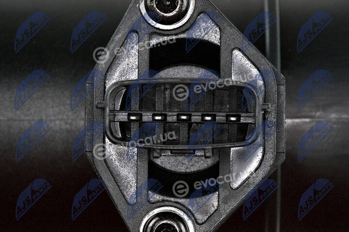 NTY EPP-NS-005