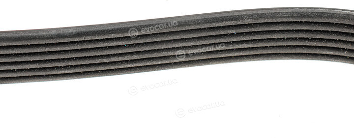 Dayco 6PK1435