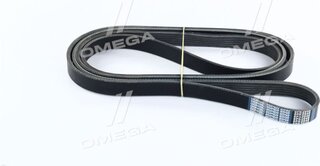 Dongil 6PK2545