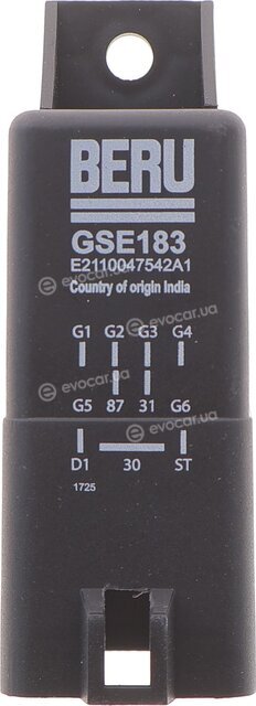 Beru GSE183