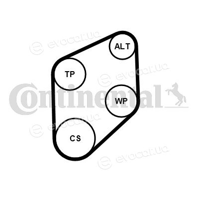 Continental 4PK800K1