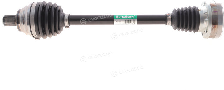 Borsehung B18310
