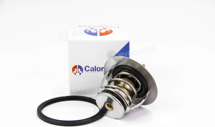 Vernet / Calorstat TH6297.82J