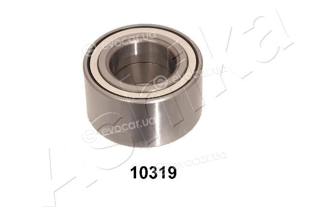 Ashika 44-10319
