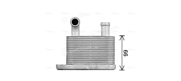 AVA OL3716