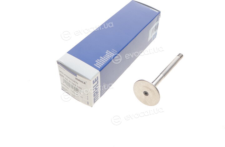 Mahle 029 VA 31103 100