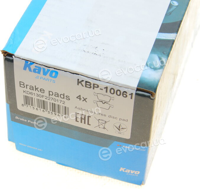 Kavo KBP-10061