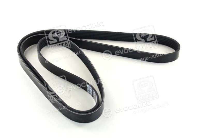 Dayco 6PK1800