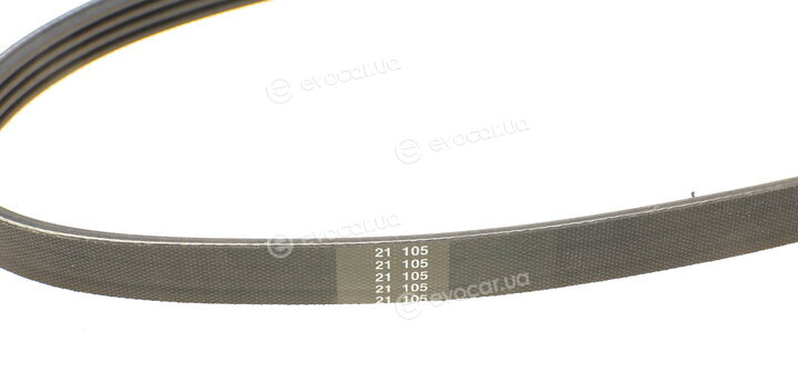 Dayco 4PK668