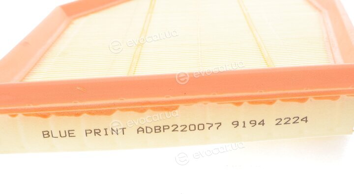 Blue Print ADBP220077