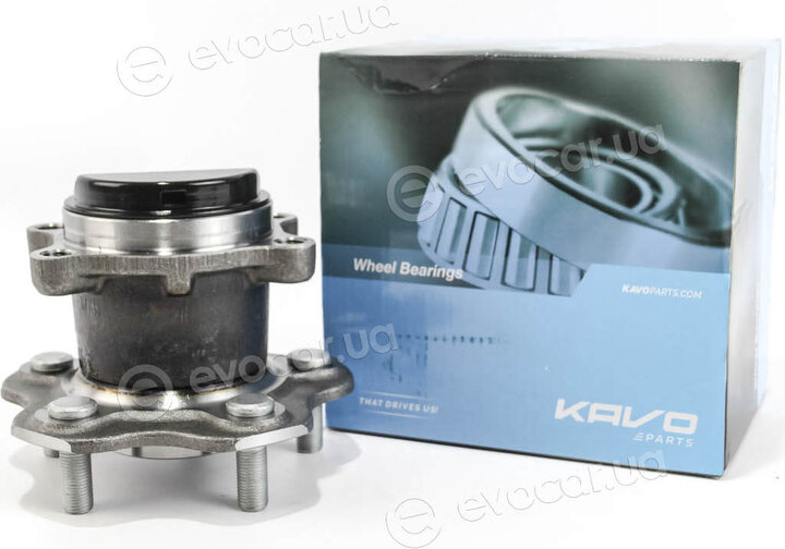 Kavo WBH-6546
