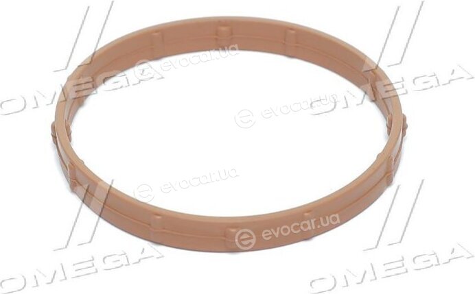 Elring 560.720