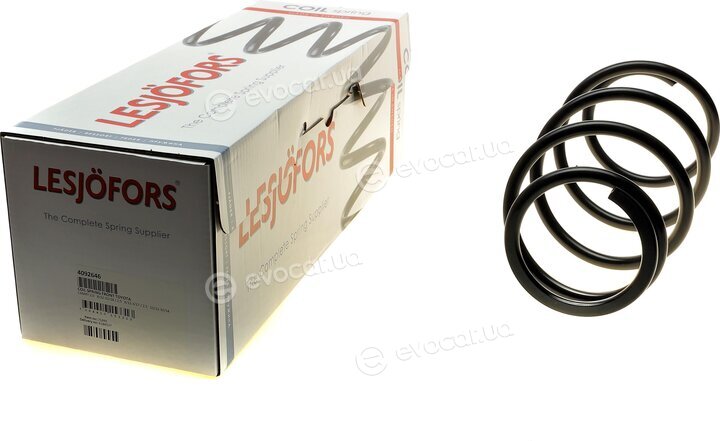 Lesjofors 4092646