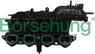 Borsehung B13494