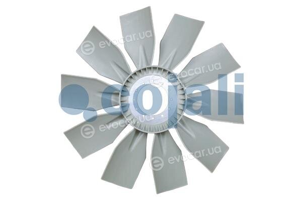 Cojali 7077102