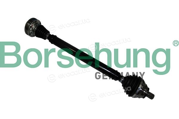 Borsehung B17853