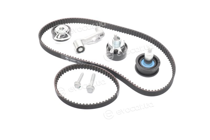 Gates K025565XS