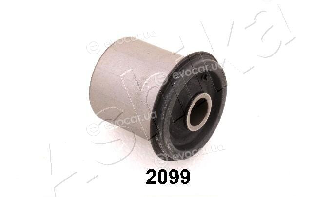 Ashika GOM-2099