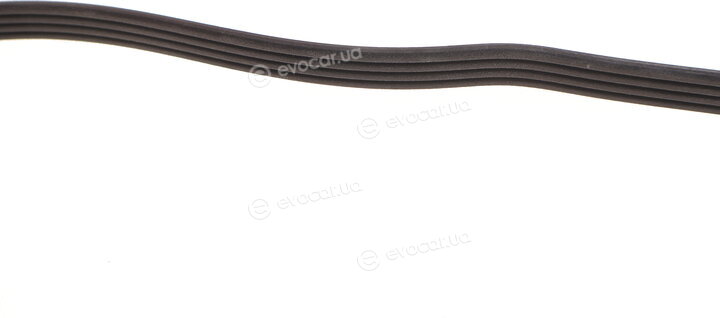 Dayco 4PK1013