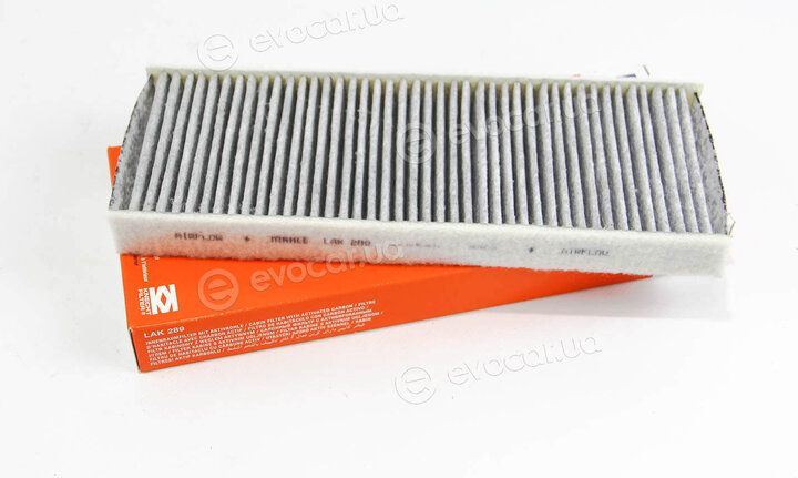 Mahle LAK 289
