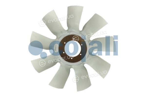 Cojali 8521634