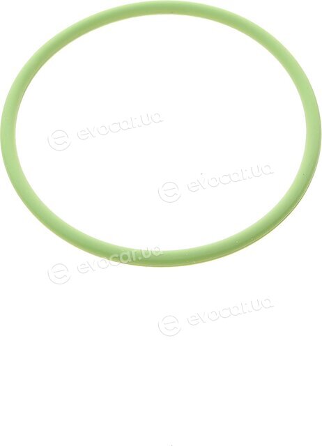 Elring 570.870