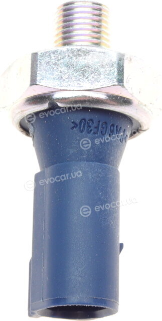 Borsehung B13136