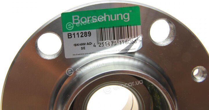 Borsehung B11289